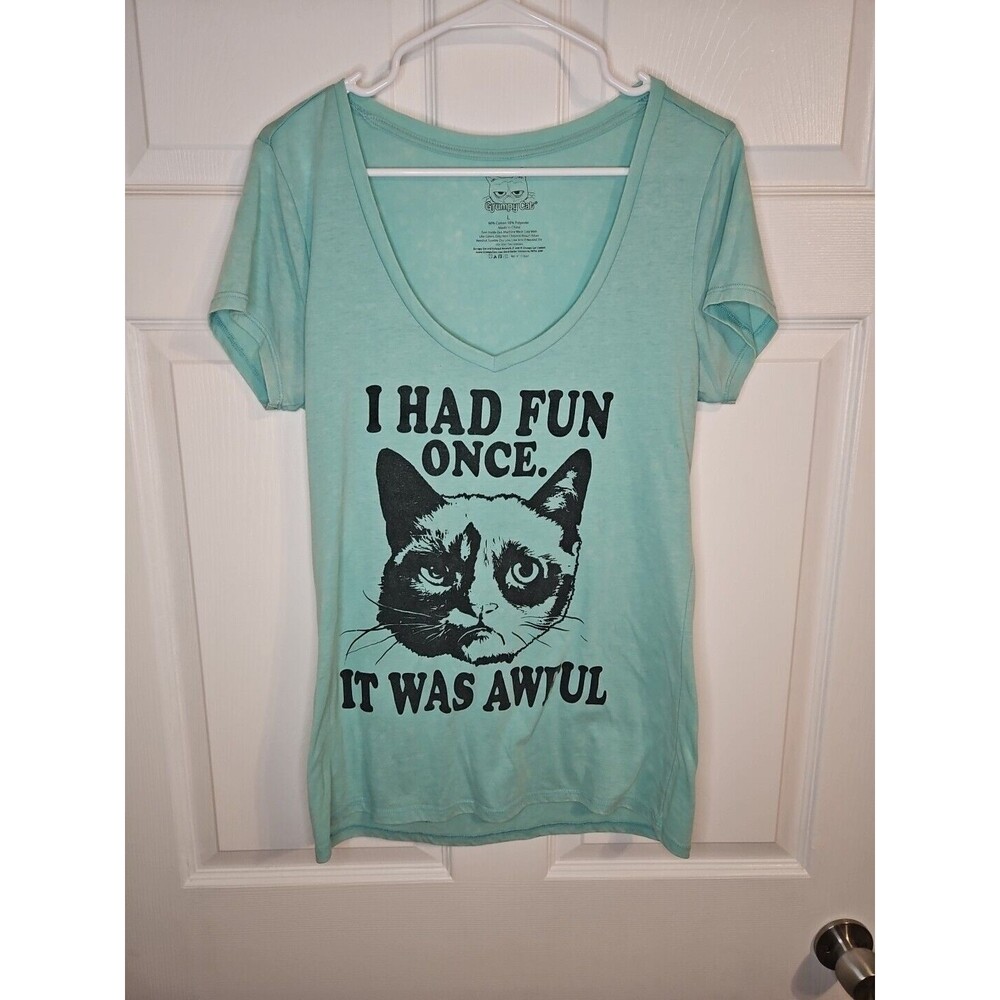 Grumpy Cat T Shirt Womens Large Teal I Had Fun Once It Was Awful Official Grumpy